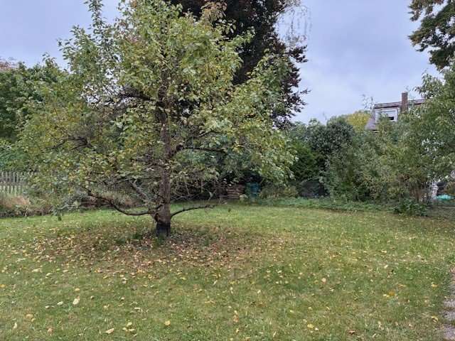 Thumbnail-Grundstück zu verkaufen in München 1.575.000,00 € 671 m²