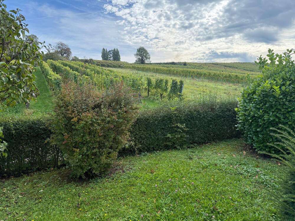 Thumbnail-Wohnung zum Mieten in Heilbronn 975,00 € 75 m²