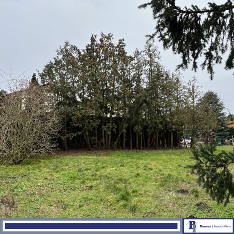 Thumbnail-Grundstück zu verkaufen in Berlin 245.900,00 € 409 m²