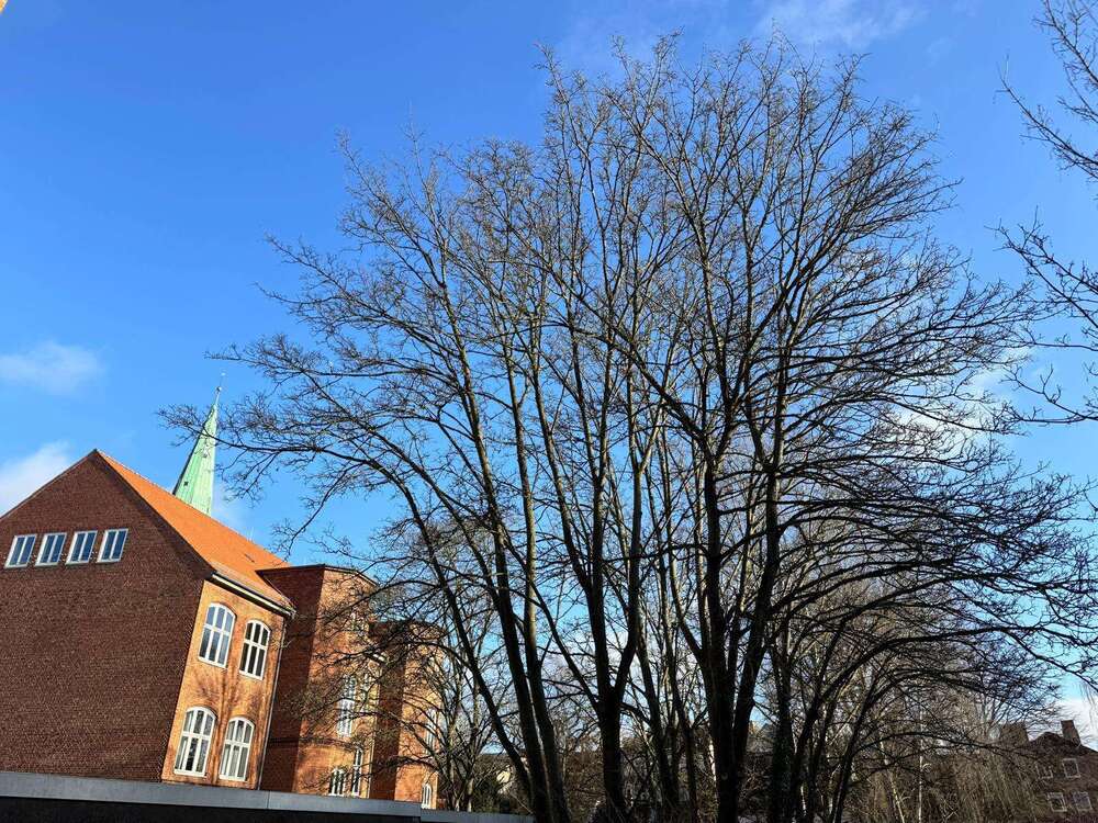 Thumbnail-Wohnung zum Mieten in Lübeck 1.326,00 € 68 m²