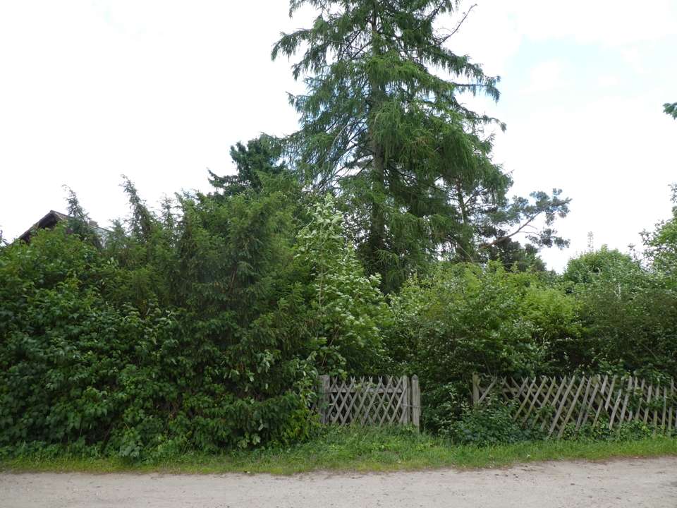 Thumbnail-Grundstück zu verkaufen in Schöneiche 300.000,00 € 827 m²