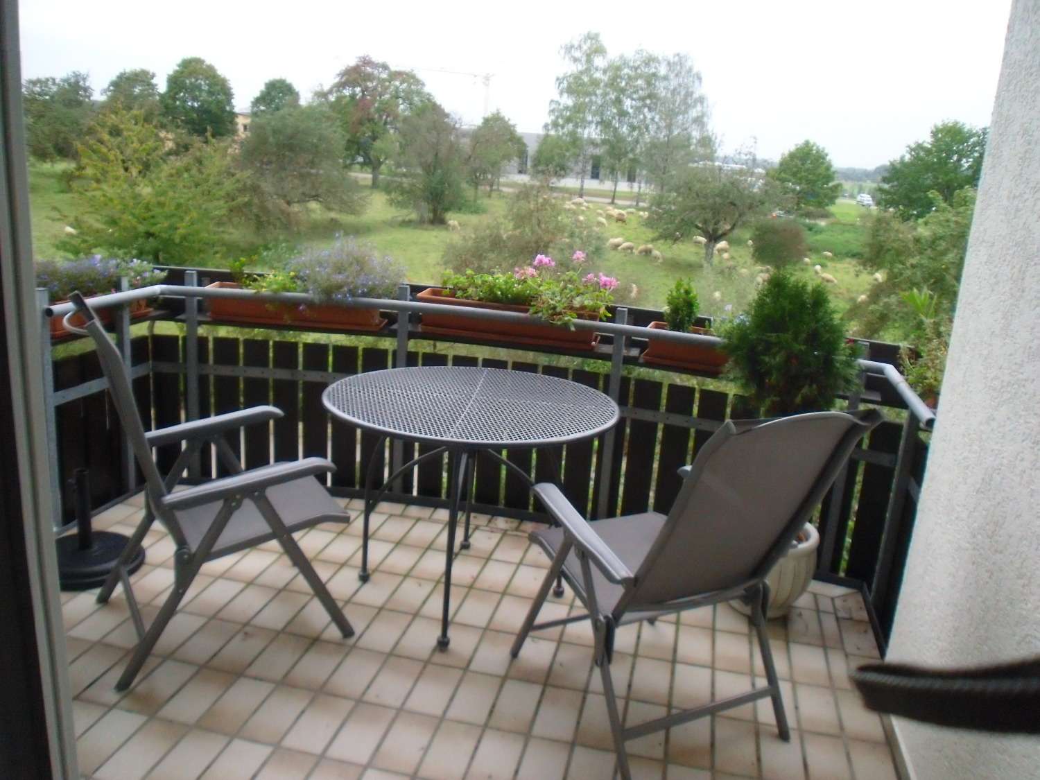 Thumbnail-Wohnung zum Mieten in Zell u. A. 700,00 € 70 m²