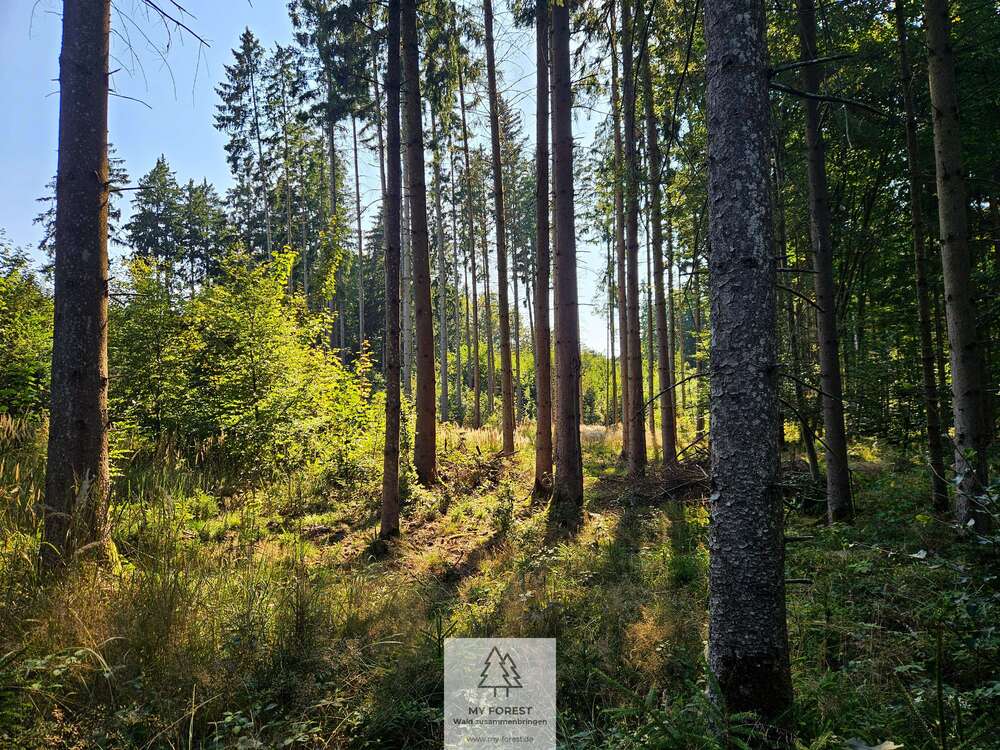 Thumbnail-Grundstück in Böhmfeld 99.000,00 € 25059 m²