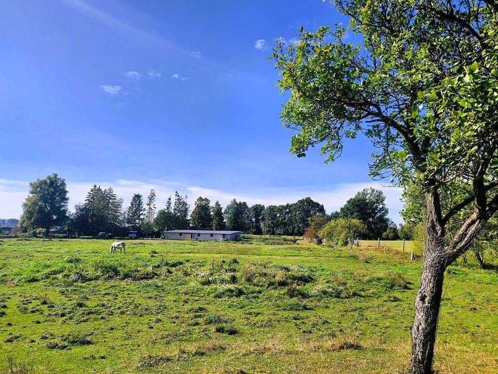 Thumbnail-Grundstück zu verkaufen in Neukalen 229.000,00 € 14715 m²