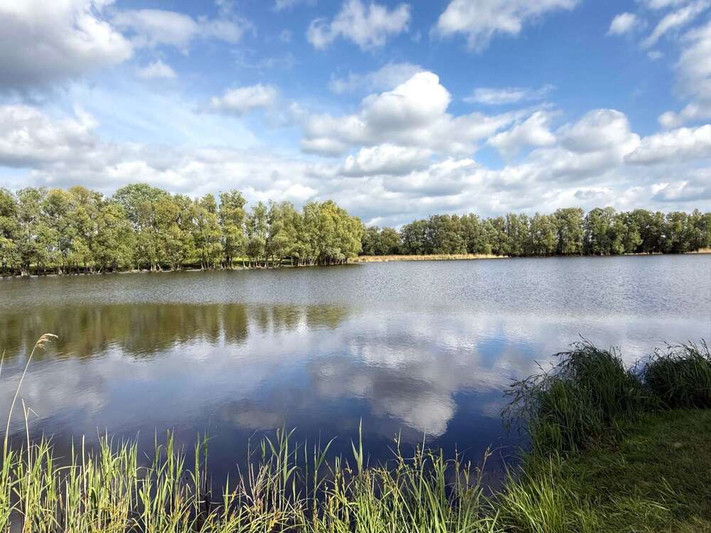 Thumbnail-Grundstück zu verkaufen in Schwante Oberkrämer 197.500,00 € 735 m²