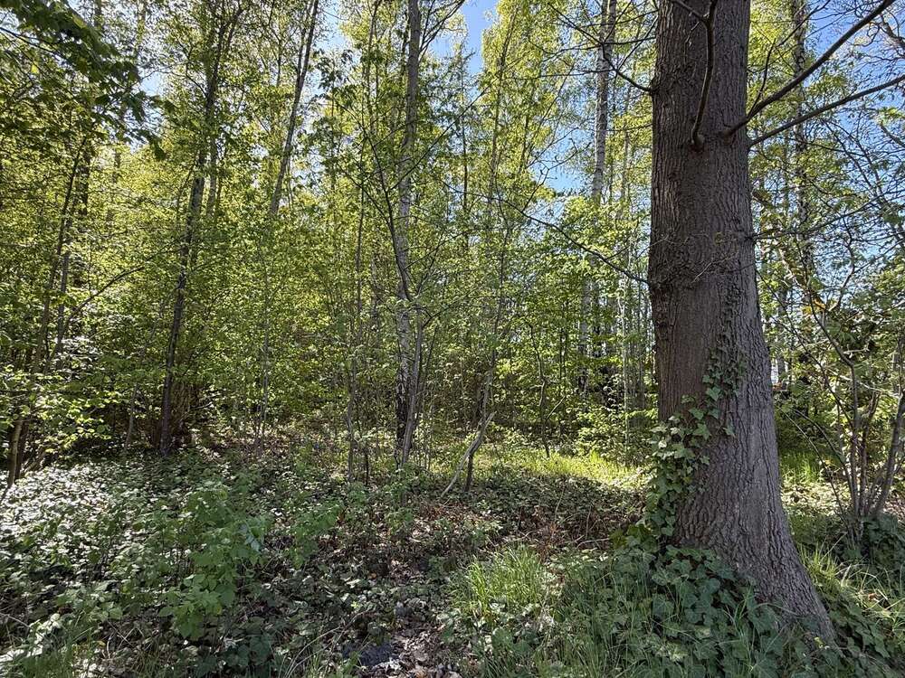 Thumbnail-Grundstück in Halstenbek 45.000,00 € 12728 m²