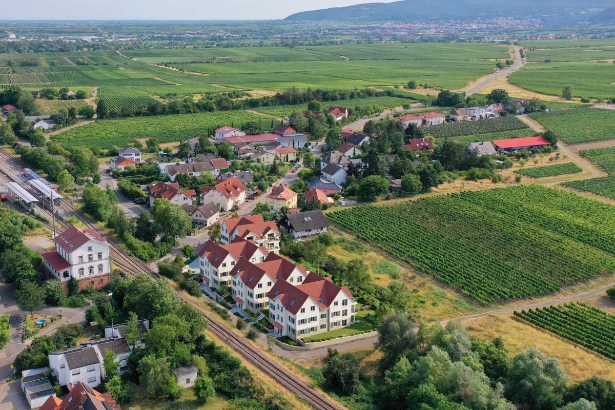 Thumbnail-Wohnung zum Kaufen in Freinsheim 638.000,00 € 118 m²