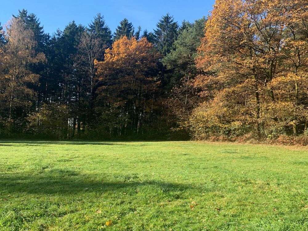 Thumbnail-Grundstück zu verkaufen in Böbrach 249.000,00 € 8555 m²