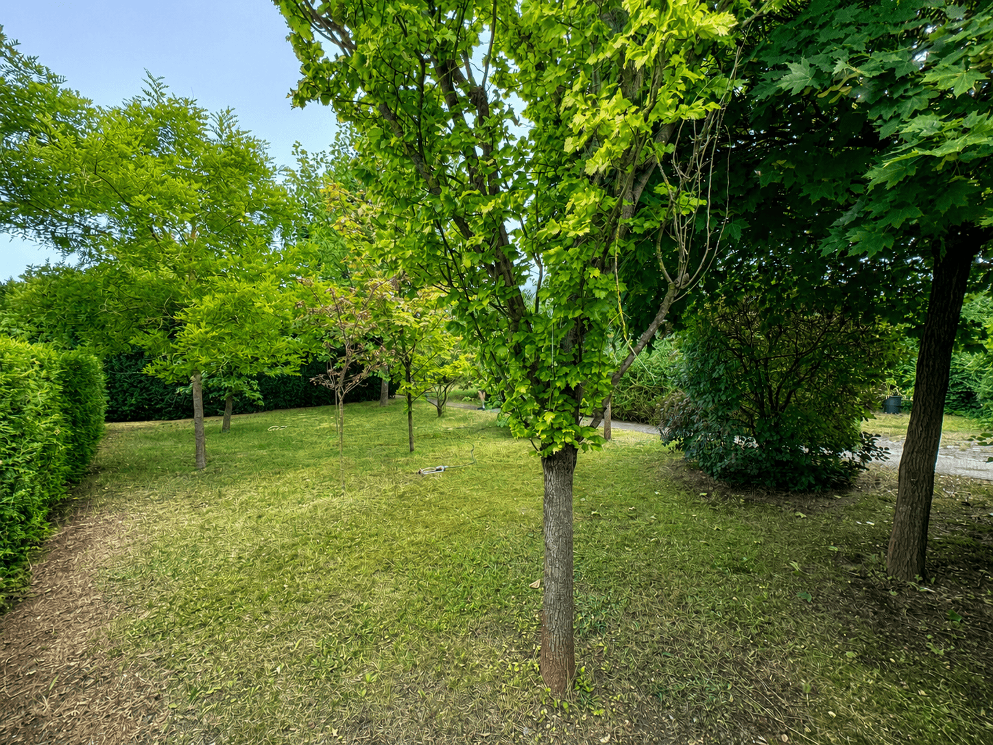 Thumbnail-Grundstück zu verkaufen in Berlin 390.000,00 € 1063 m²