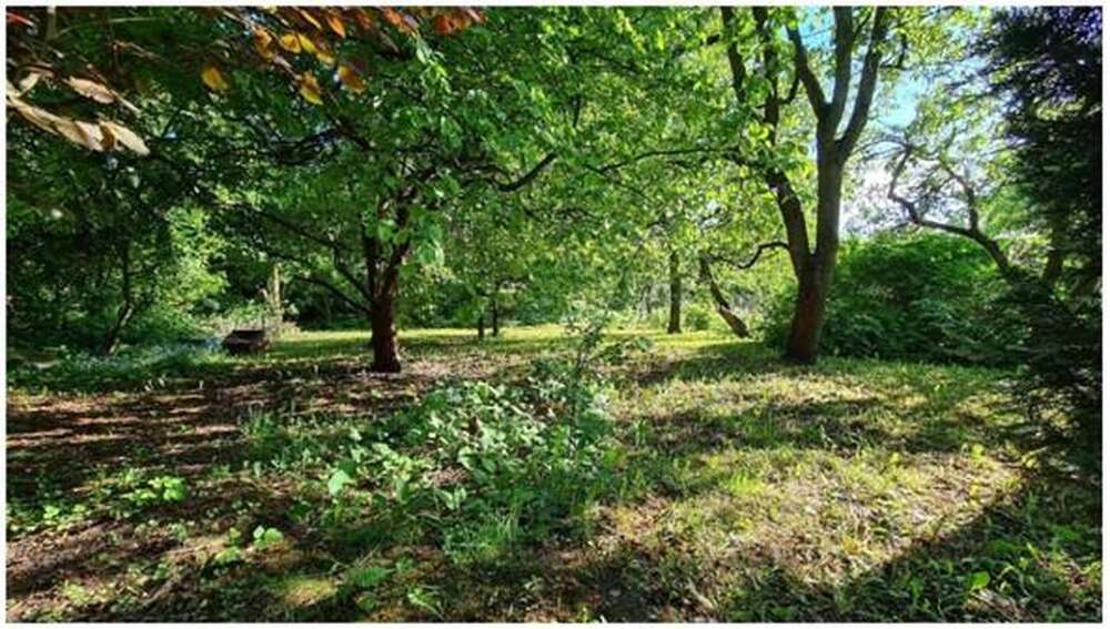 Thumbnail-Grundstück zu verkaufen in Falkensee 430.000,00 € 1281 m²