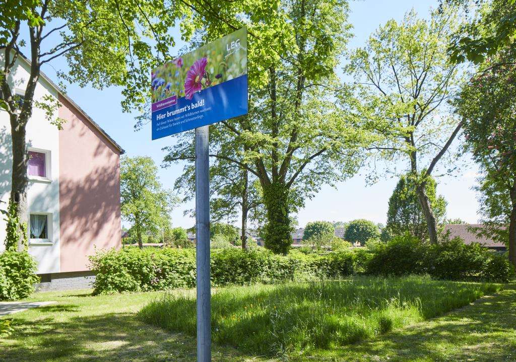 Thumbnail-Wohnung zum Mieten in Dortmund 389,00 € 42 m²