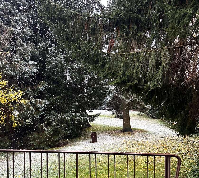 Thumbnail-Haus zum Kaufen in Krefeld 550.000,00 € 285 m²