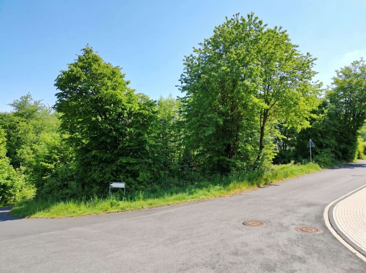 Thumbnail-Grundstück zu verkaufen in Lindlar 185.000,00 € 1253 m²