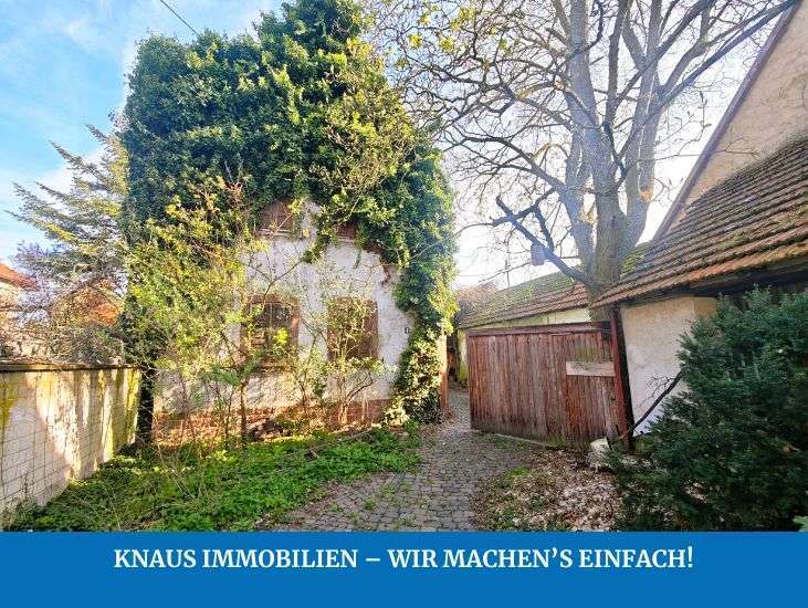Thumbnail-Haus zum Kaufen in Rohrbach 230.000,00 € 170 m²