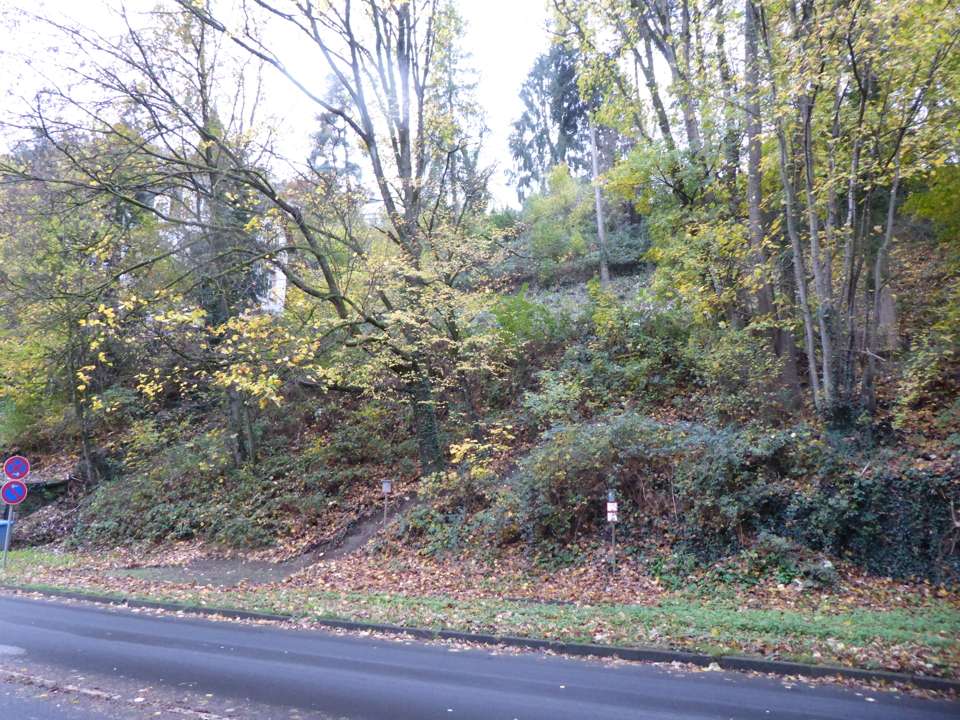 Thumbnail-Grundstück zu verkaufen in Eppstein 225.000,00 € 1508 m²