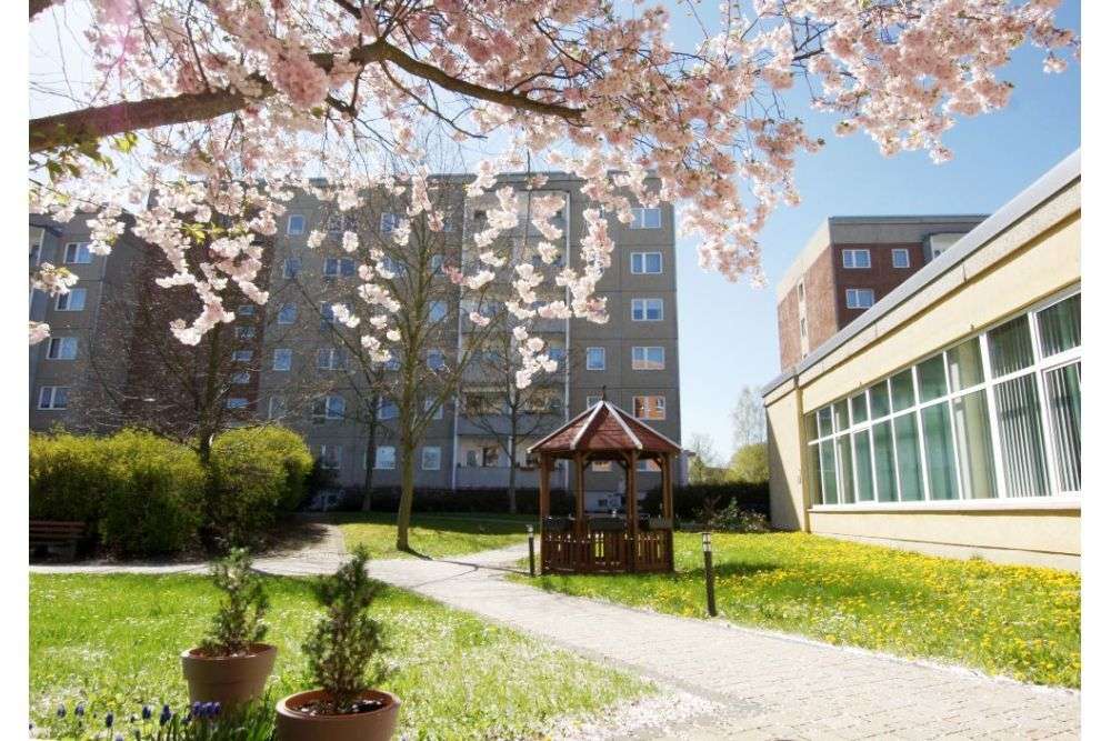 Thumbnail-Wohnung zum Mieten in Plauen 343,90 € 51.1 m²