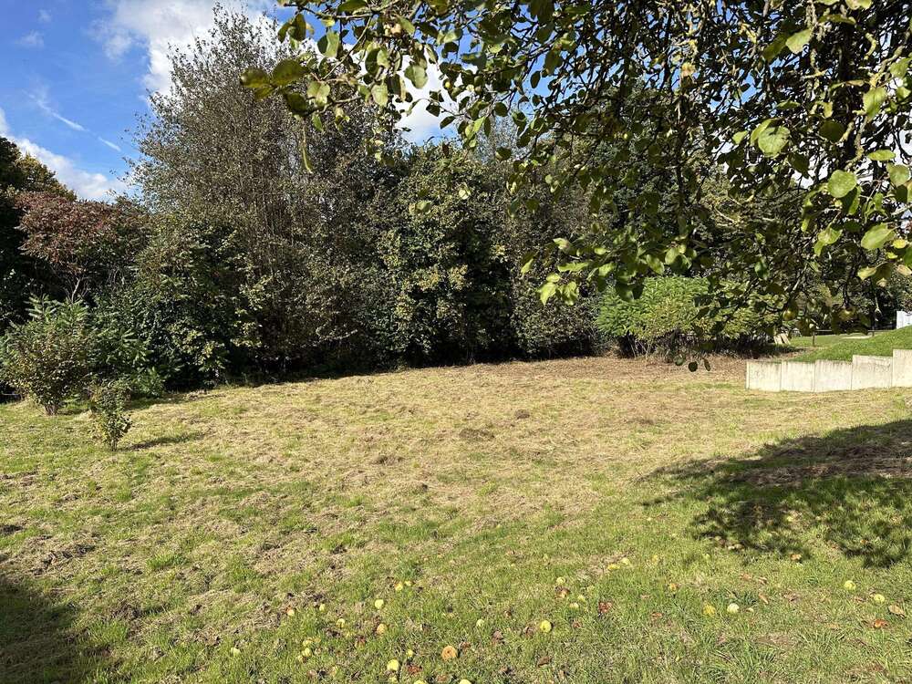 Thumbnail-Grundstück zu verkaufen in Dörentrup 149.000,00 € 1572 m²