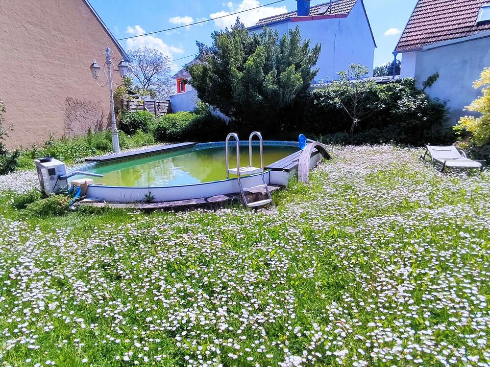 Thumbnail-Haus zum Kaufen in Langenlonsheim 775.000,00 € 375 m²