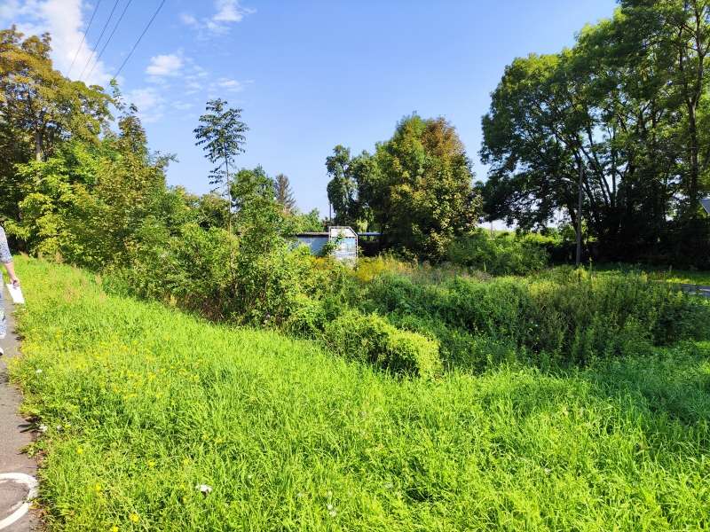 Thumbnail-Grundstück zu verkaufen in Magdeburg 268.000,00 € 899 m²