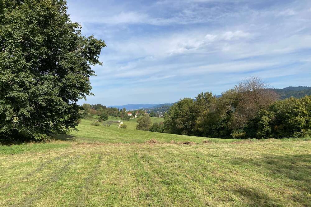 Thumbnail-Grundstück zu verkaufen in Wittnau 900.000,00 € 1458 m²