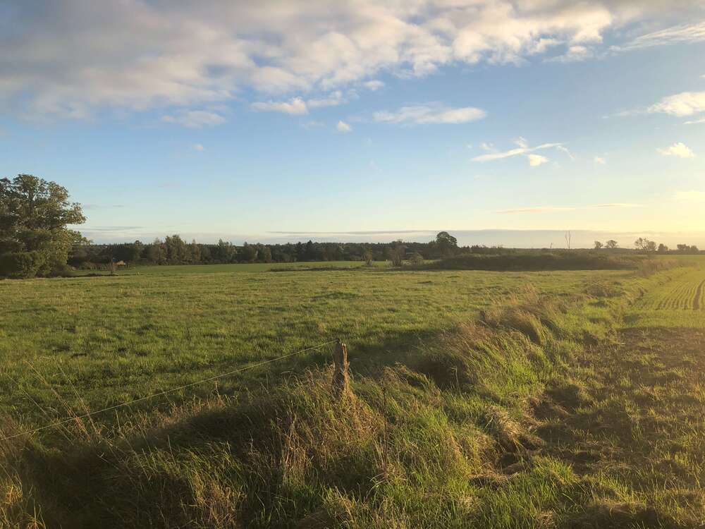 Thumbnail-Grundstück zu verkaufen in Marlow 106.624,00 € 952 m²