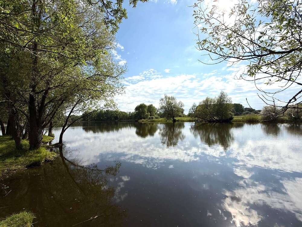 Thumbnail-Grundstück zu verkaufen in Schwante Oberkrämer 179.000,00 € 701 m²