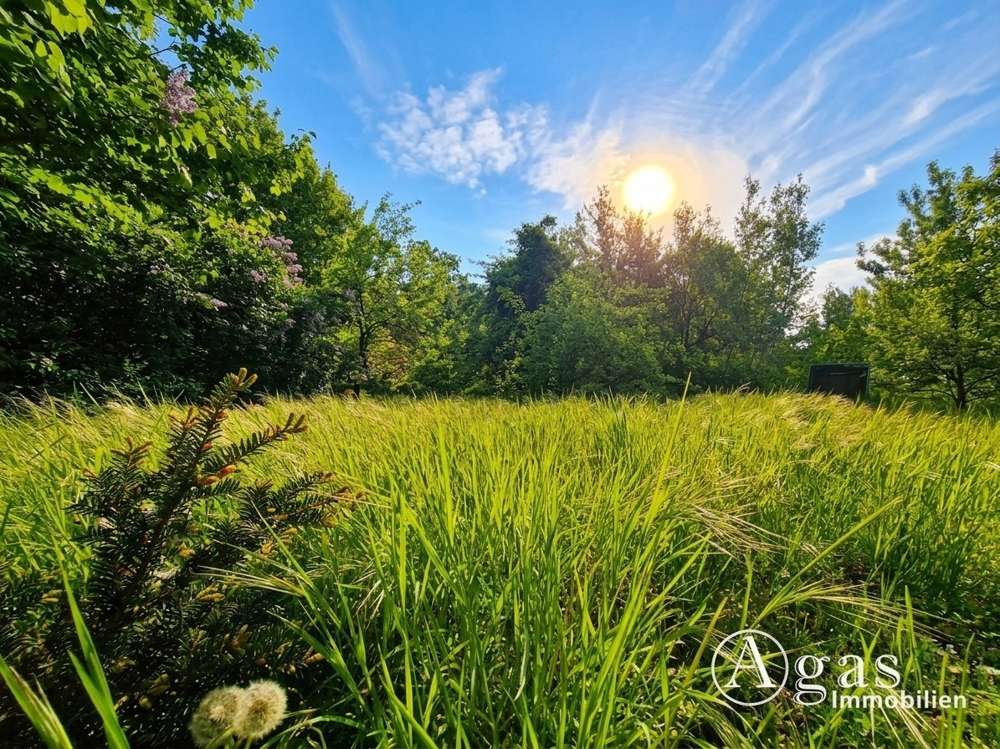 Thumbnail-Grundstück zu verkaufen in Petershagen 249.000,00 € 830 m²