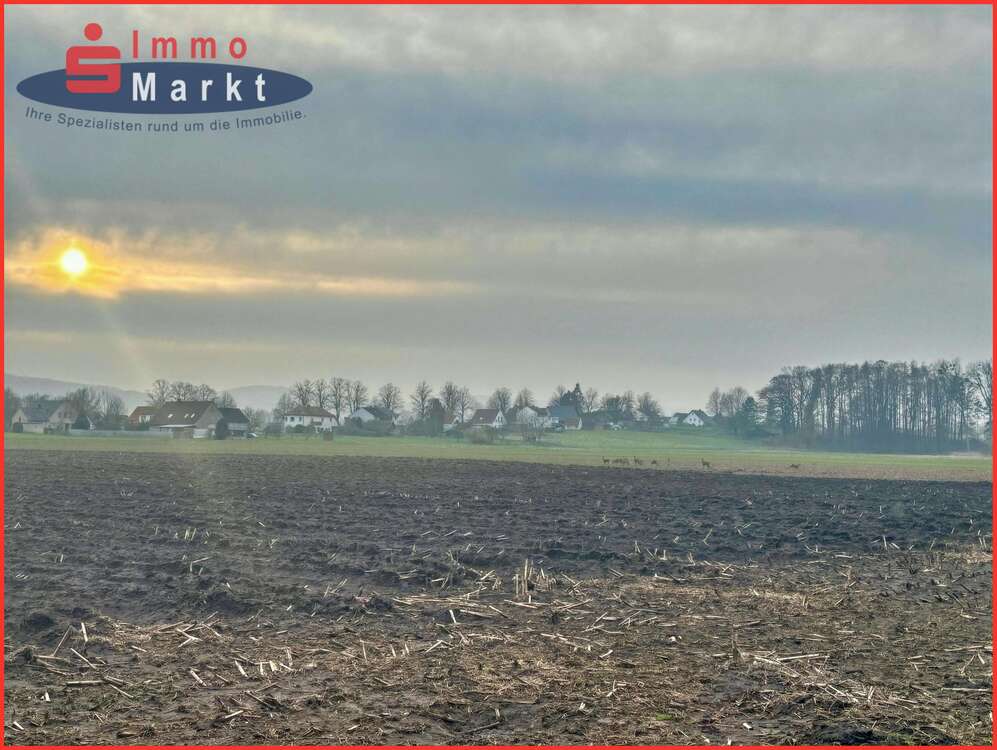 Thumbnail-Grundstück in Hille 32.000,00 € 10587 m²