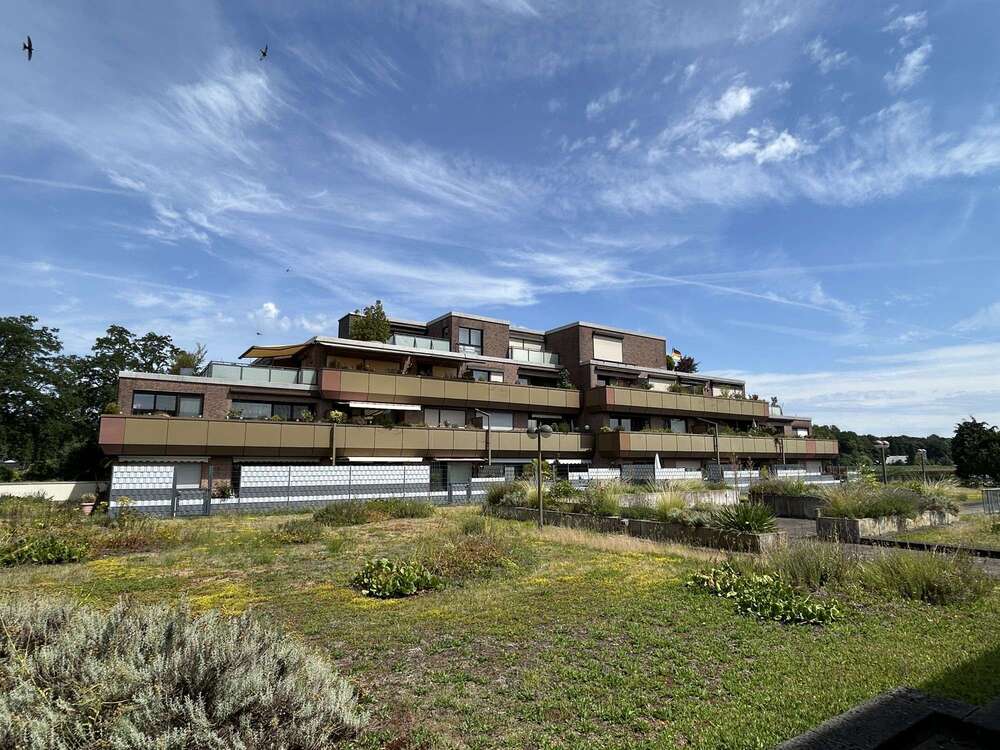 Thumbnail-Wohnung zum Kaufen in Münster 230.000,00 € 88 m²