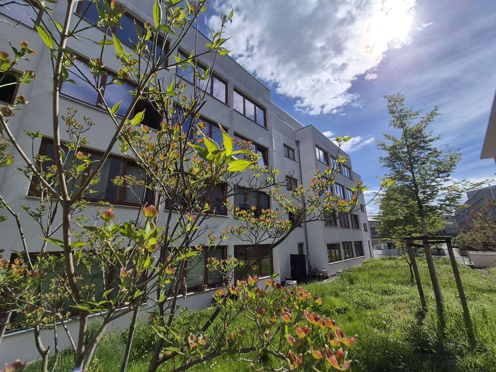 Thumbnail-Wohnung zum Mieten in Dresden 954,00 € 83.6 m²