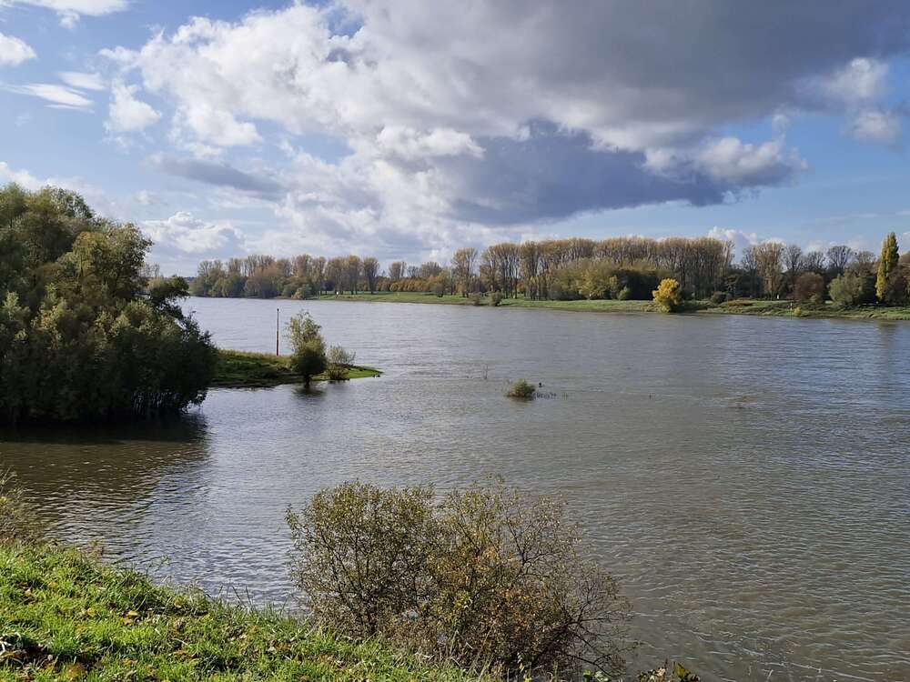 Thumbnail-Wohnung zum Kaufen in Düsseldorf 695.000,00 € 115 m²