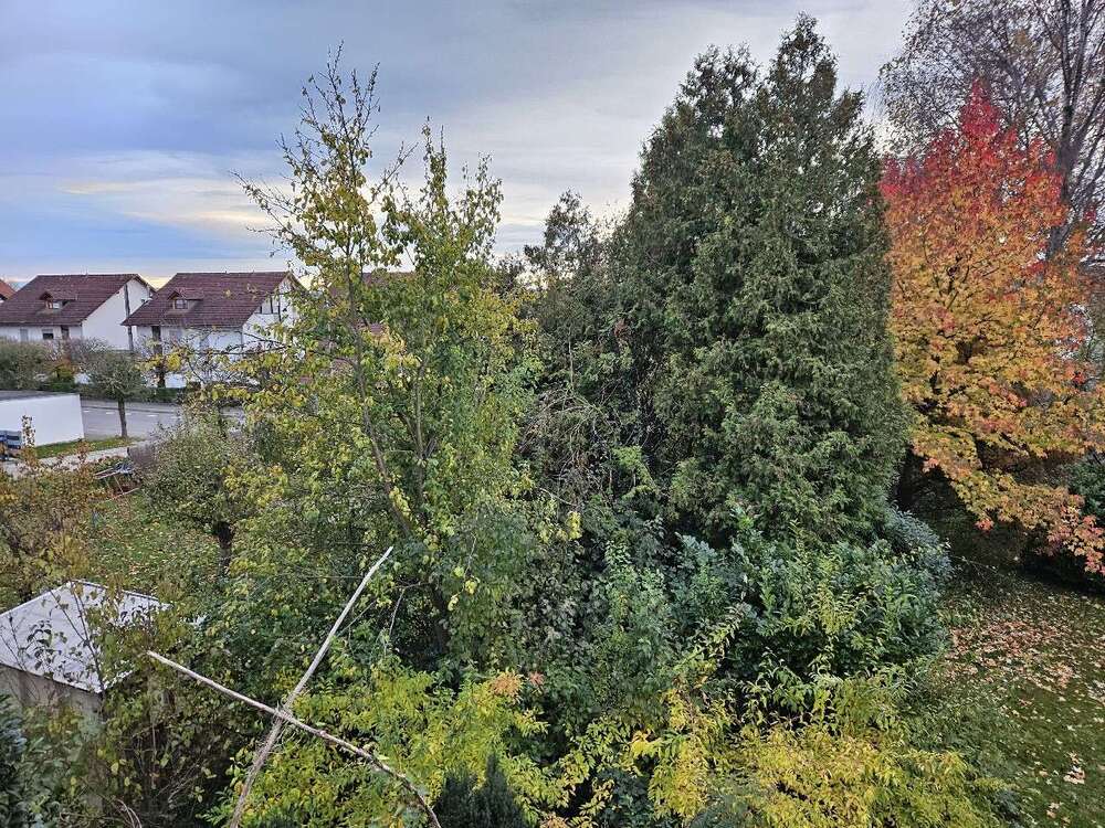 Thumbnail-Wohnung zum Mieten in Allensbach 900,00 € 75 m²