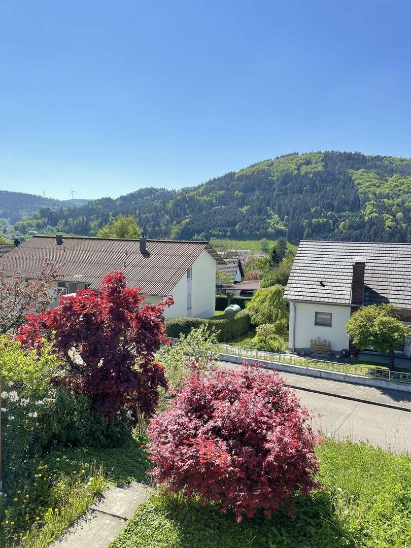 Thumbnail-Haus zum Kaufen in Seelbach 399.000,00 € 153 m²