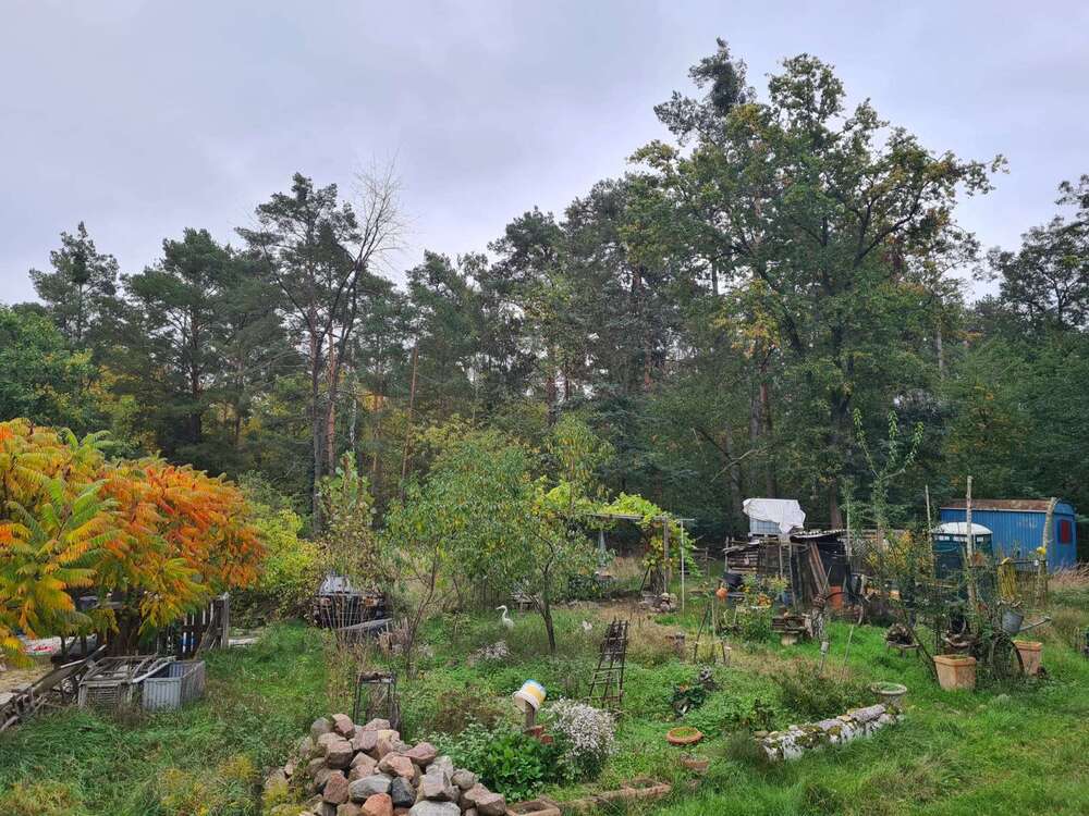 Thumbnail-Grundstück zu verkaufen in Werder (Havel) OT Alt-Töplitz 220.000,00 € 46100 m²