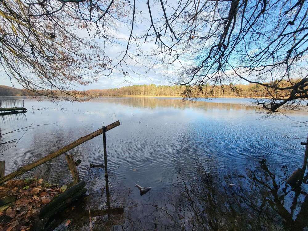 Thumbnail-Grundstück zu verkaufen in Seilershof 120.000,00 € 804 m²