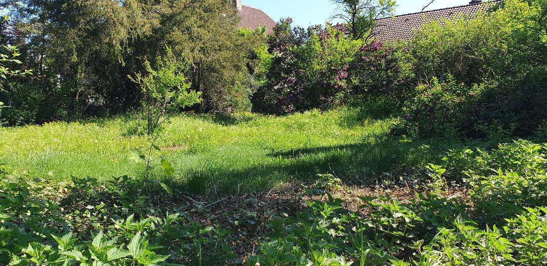 Thumbnail-Grundstück zu verkaufen in Rodenbach 429.000,00 € 1116 m²