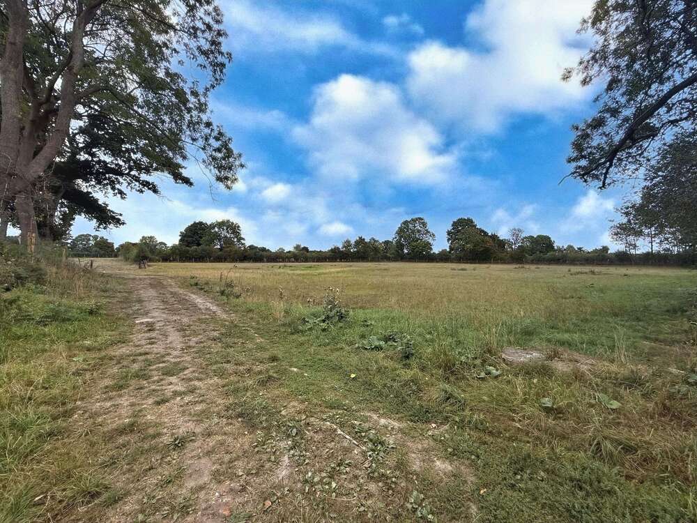 Thumbnail-Grundstück in Neustadt 57.000,00 € 8524 m²