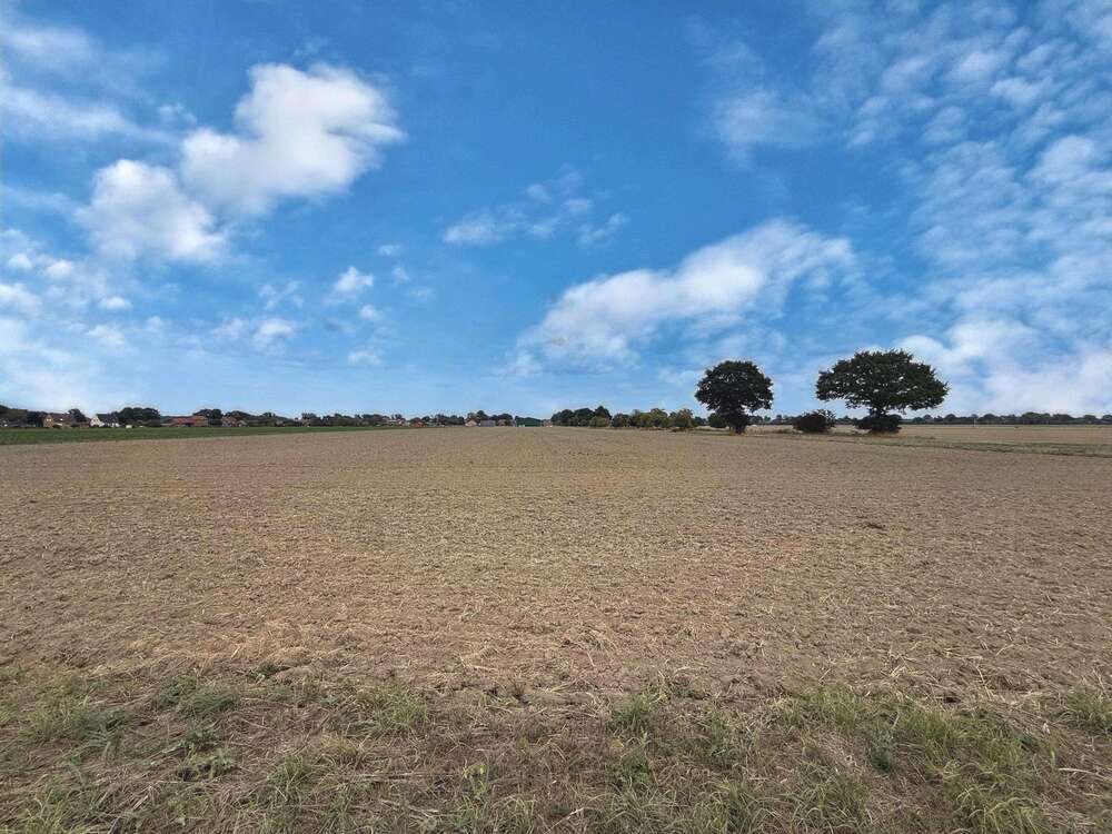 Thumbnail-Grundstück in Neustadt 524.000,00 € 41758 m²