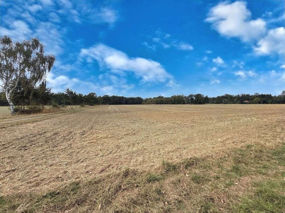 Thumbnail-Grundstück in Neustadt 457.000,00 € 36454 m²