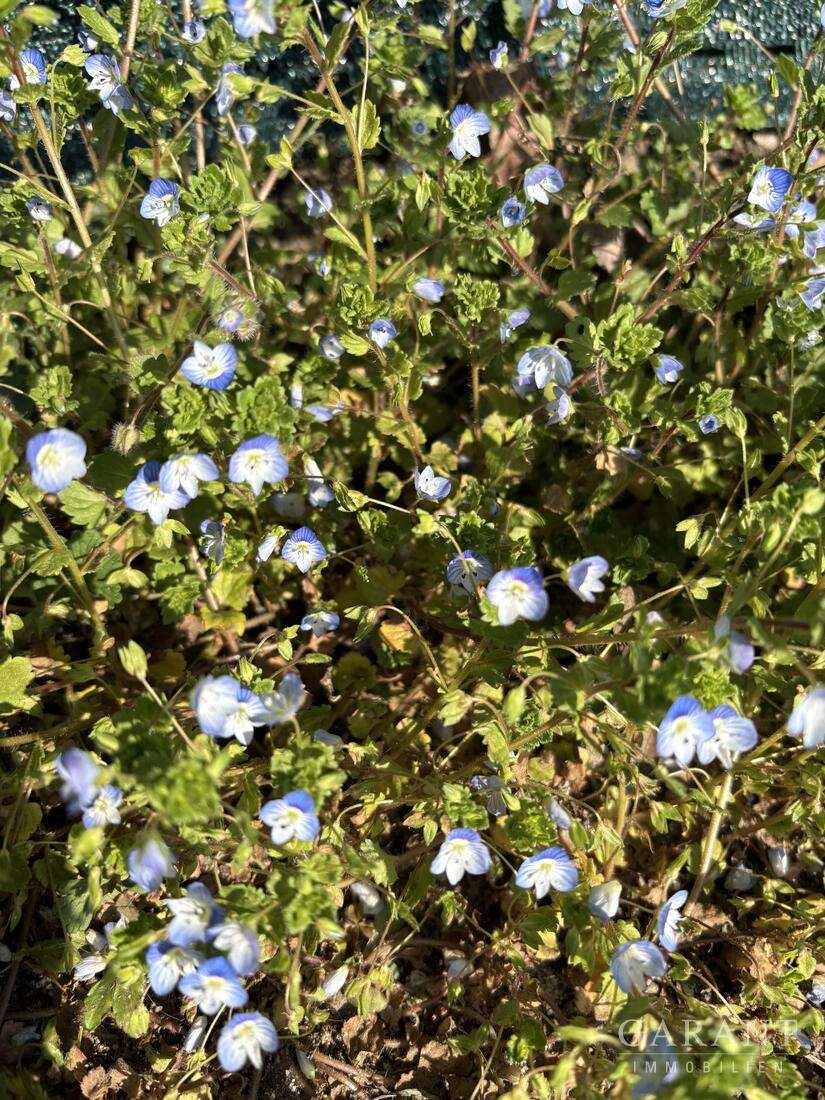 Thumbnail-Grundstück zu verkaufen in Neusäß 3.100.000,00 € 3829 m²