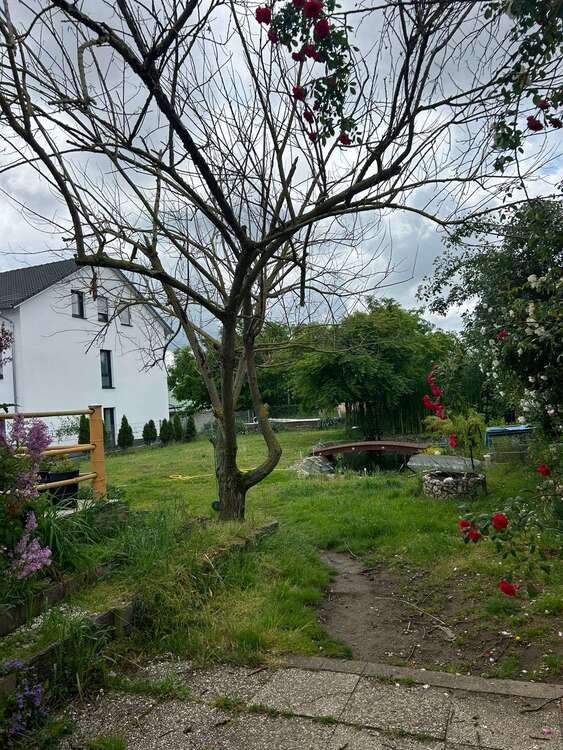 Thumbnail-Grundstück zu verkaufen in Nauheim 285.000,00 € 400 m²