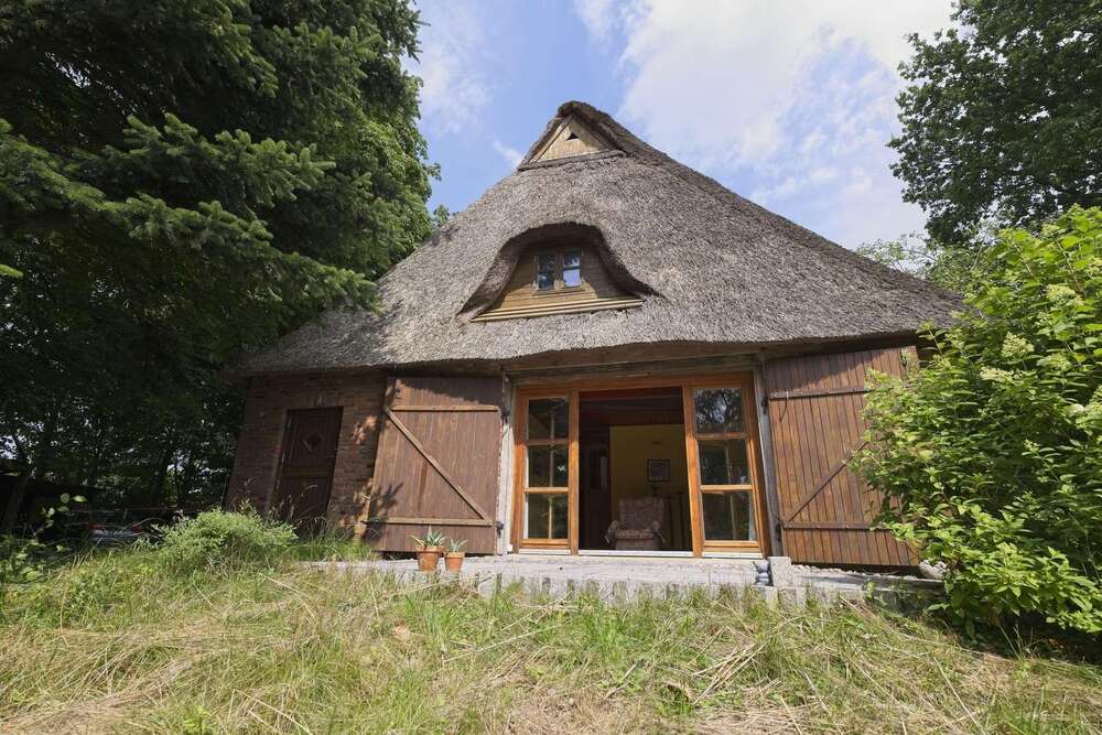 Thumbnail-Haus zum Kaufen in Hochdonn 429.000,00 € 126 m²