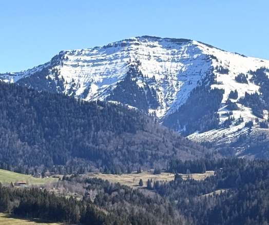 Thumbnail-Wohnung zum Kaufen in Oberstaufen 365.000,00 € 76 m²