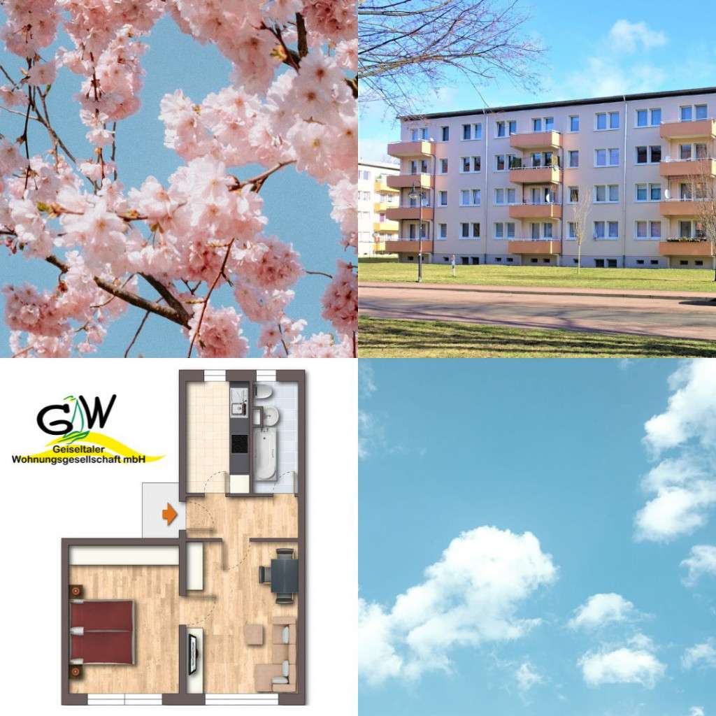 Thumbnail-Wohnung zum Mieten in Braunsbedra 284,00 € 47.2 m²