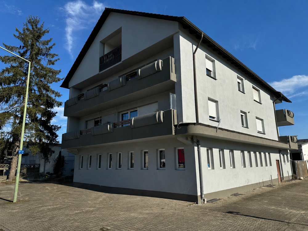 Thumbnail-Haus zum Kaufen in Viernheim 2.699.000,00 € 964 m²