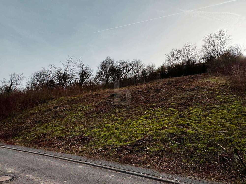 Thumbnail-Grundstück zu verkaufen in Welschbillig 59.000,00 € 839 m²