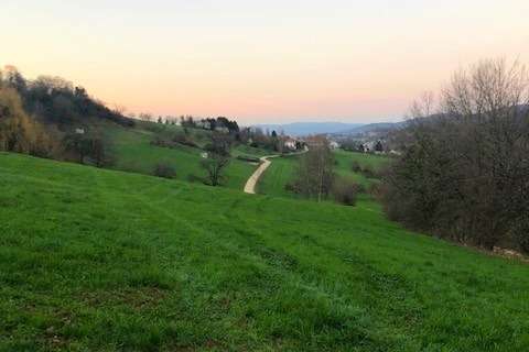 Thumbnail-Grundstück zu verkaufen in Wittnau 1.000.000,00 € 1031 m²