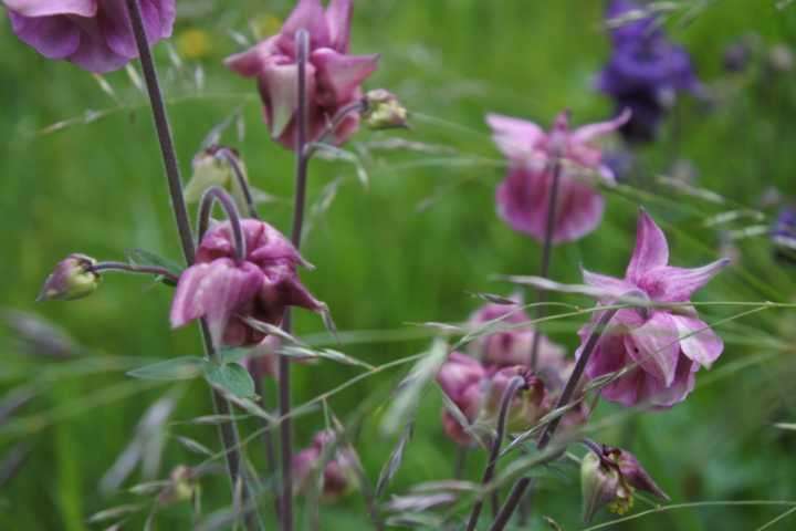 Thumbnail-Haus zum Kaufen in Wutha-Farnroda 229.000,00 € 164 m²