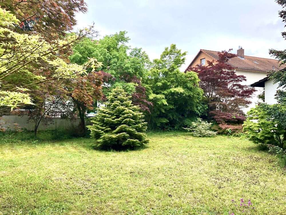 Thumbnail-Grundstück zu verkaufen in Speyer 499.999,00 € 900 m²