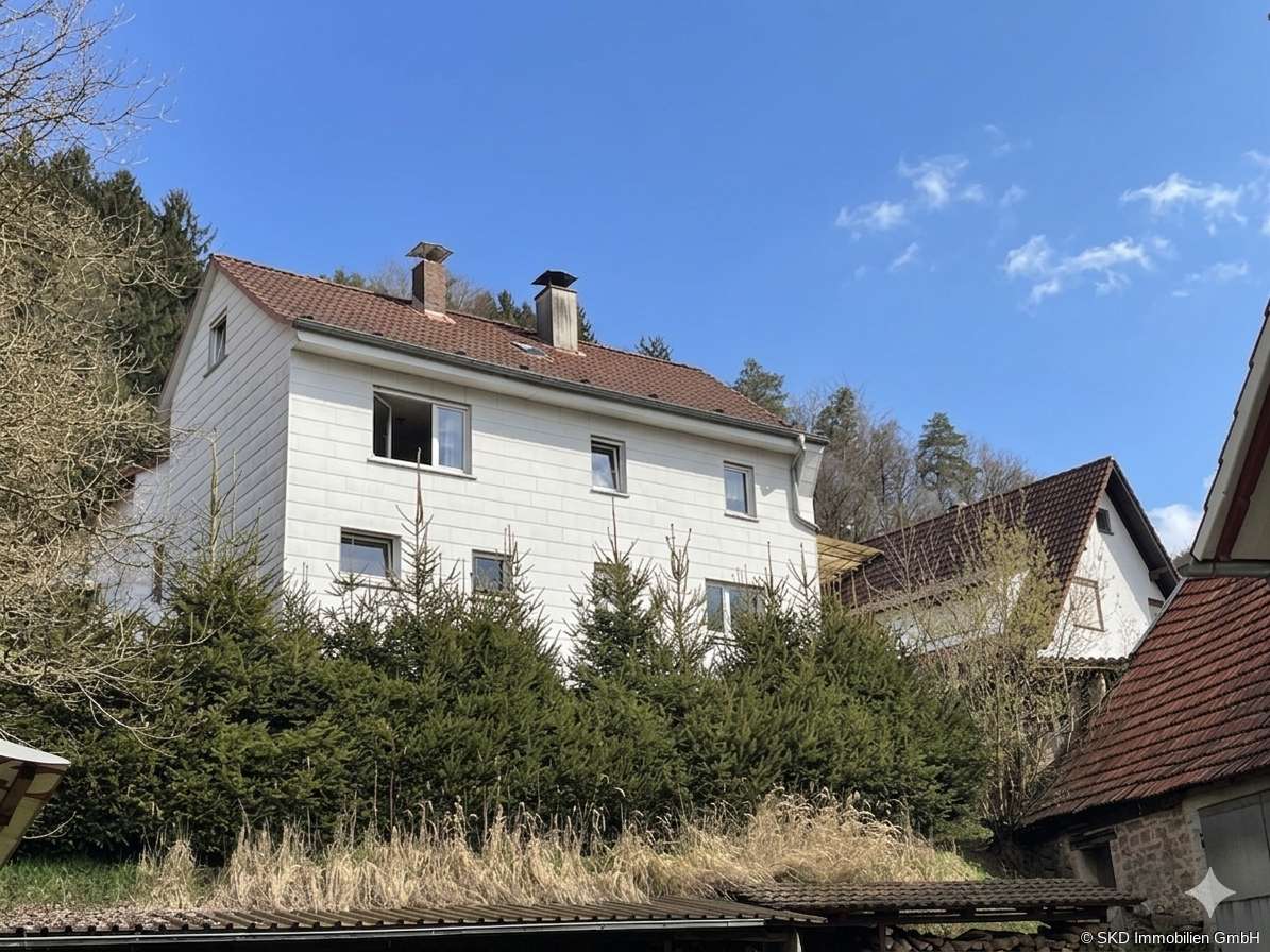 Thumbnail-Haus zum Kaufen in Hirschhorn Langenthal 78.000,00 € 122 m²